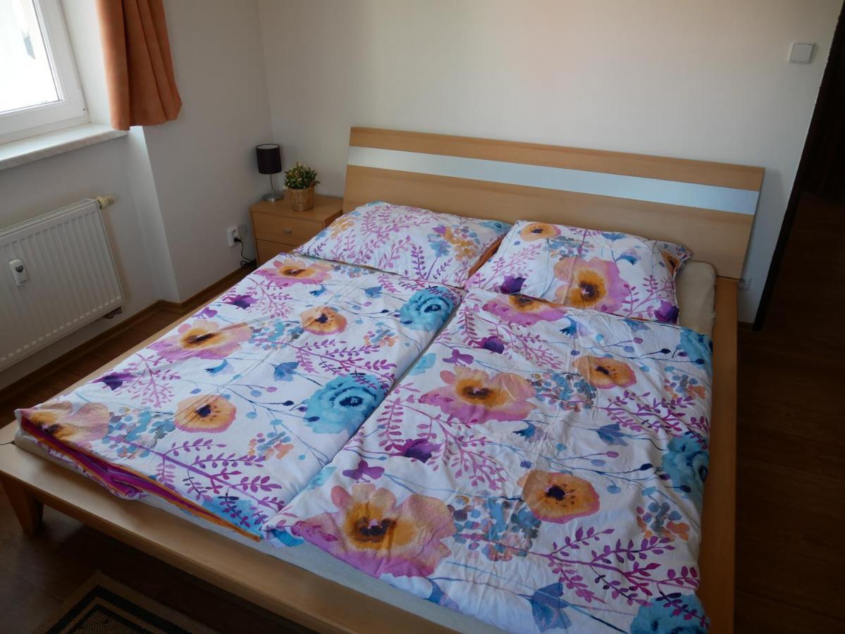 ليبنو ناد فلتافو Apartmany Lipno-1 المظهر الخارجي الصورة