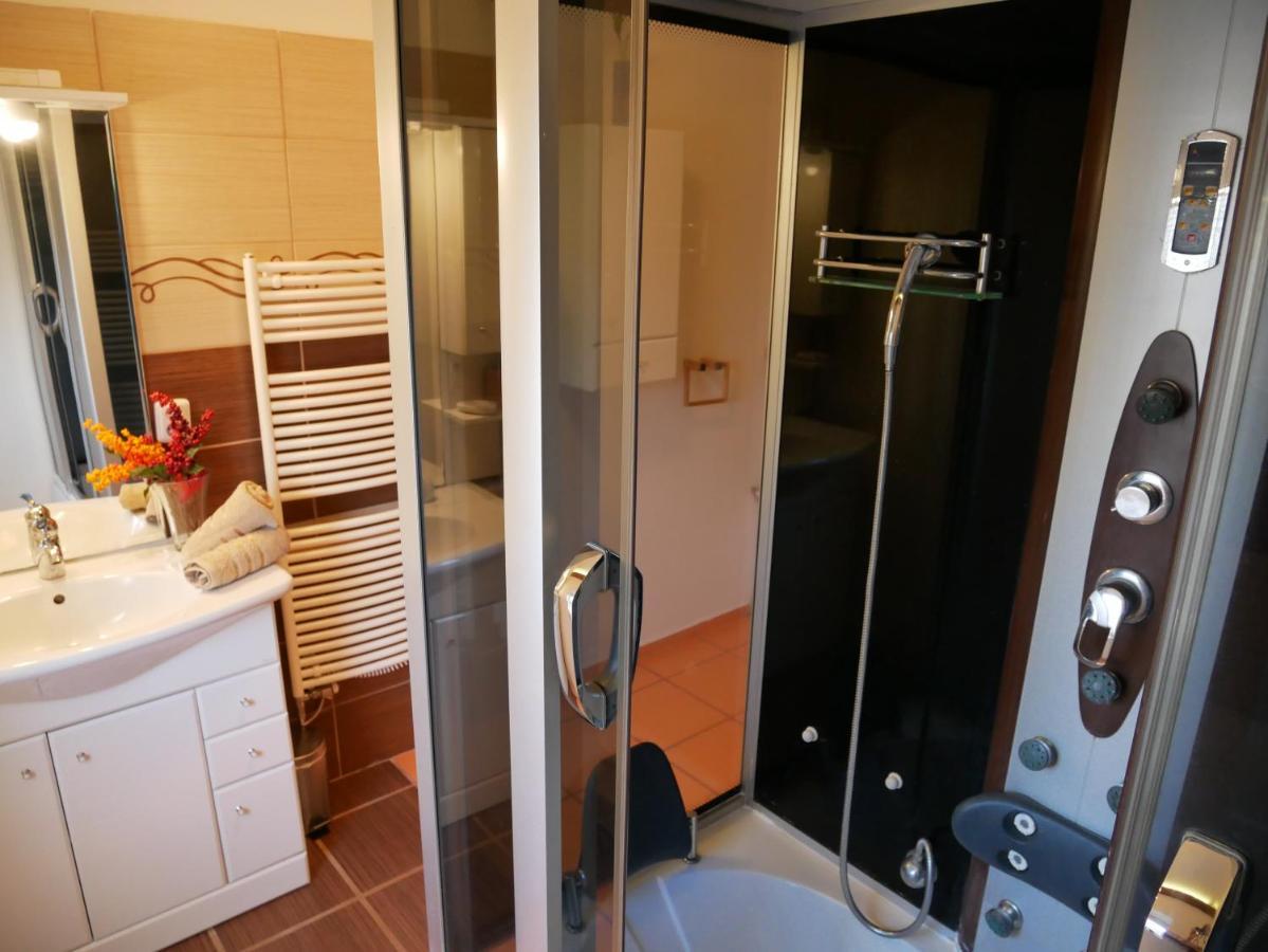 ليبنو ناد فلتافو Apartmany Lipno-1 المظهر الخارجي الصورة