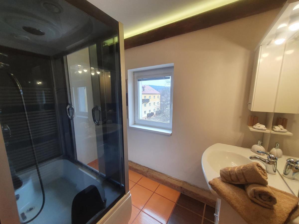 ليبنو ناد فلتافو Apartmany Lipno-1 المظهر الخارجي الصورة