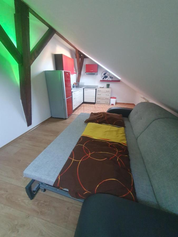 ليبنو ناد فلتافو Apartmany Lipno-1 المظهر الخارجي الصورة