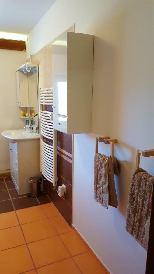 ليبنو ناد فلتافو Apartmany Lipno-1 المظهر الخارجي الصورة