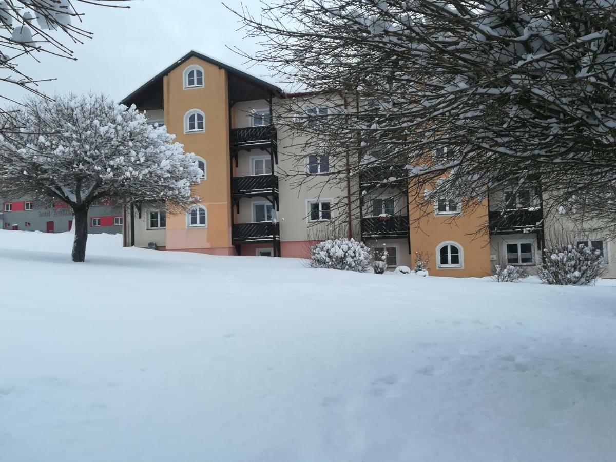 ليبنو ناد فلتافو Apartmany Lipno-1 المظهر الخارجي الصورة