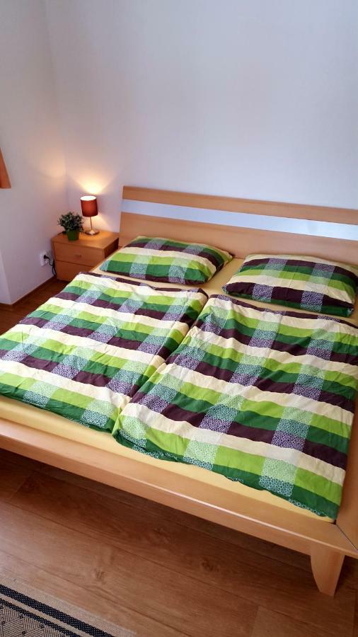 ليبنو ناد فلتافو Apartmany Lipno-1 المظهر الخارجي الصورة