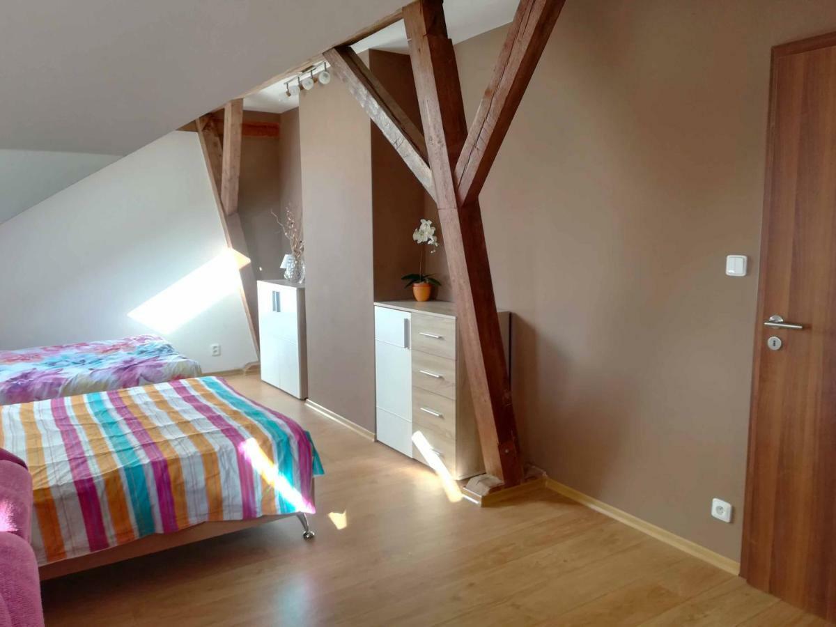 ليبنو ناد فلتافو Apartmany Lipno-1 المظهر الخارجي الصورة