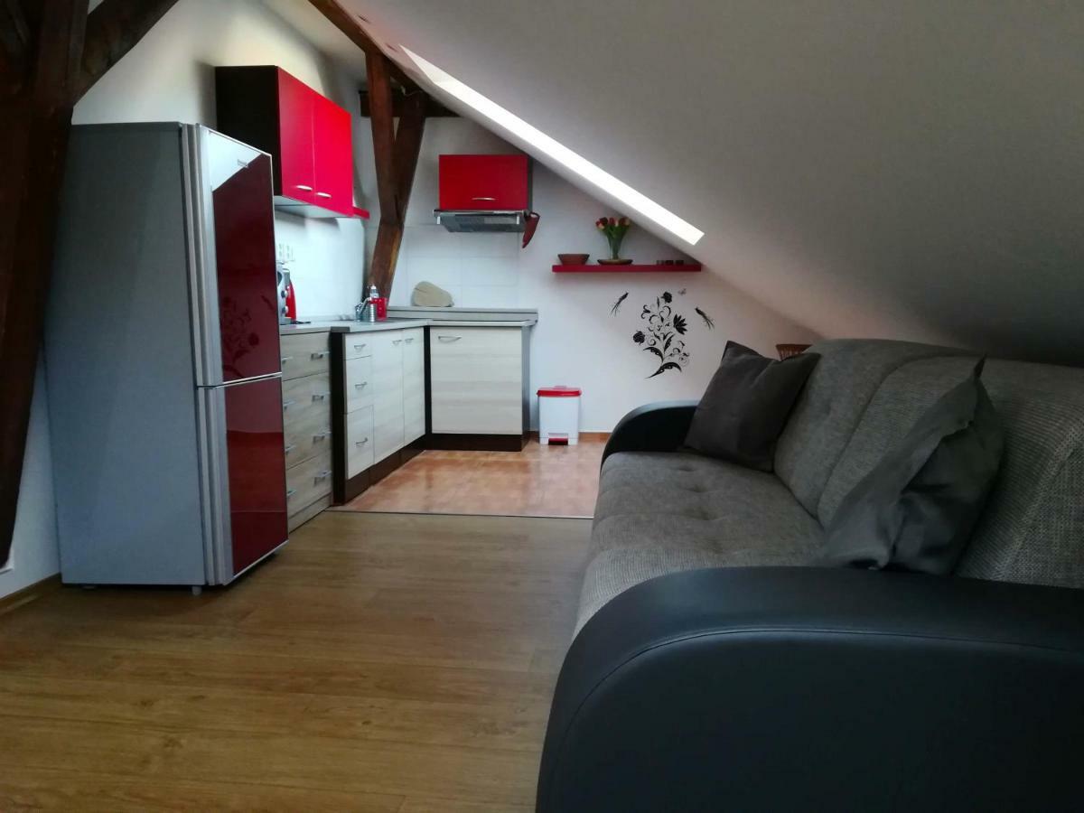 ليبنو ناد فلتافو Apartmany Lipno-1 المظهر الخارجي الصورة