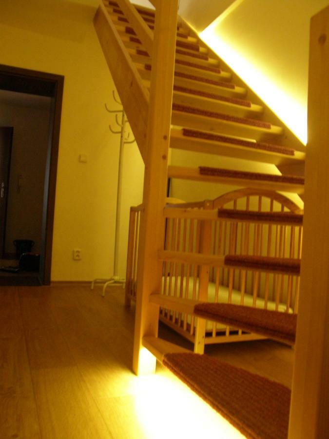 ليبنو ناد فلتافو Apartmany Lipno-1 المظهر الخارجي الصورة